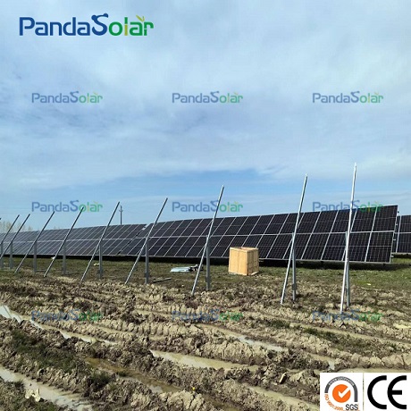 パンダソーラーの5MW地上設置型太陽光発電プロジェクトが建設中、再生可能エネルギーの推進を継続