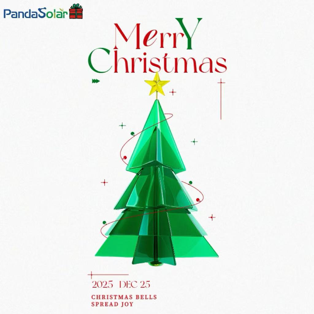 チームニュース | 雲南省西双版納への年末チームビルディング旅行